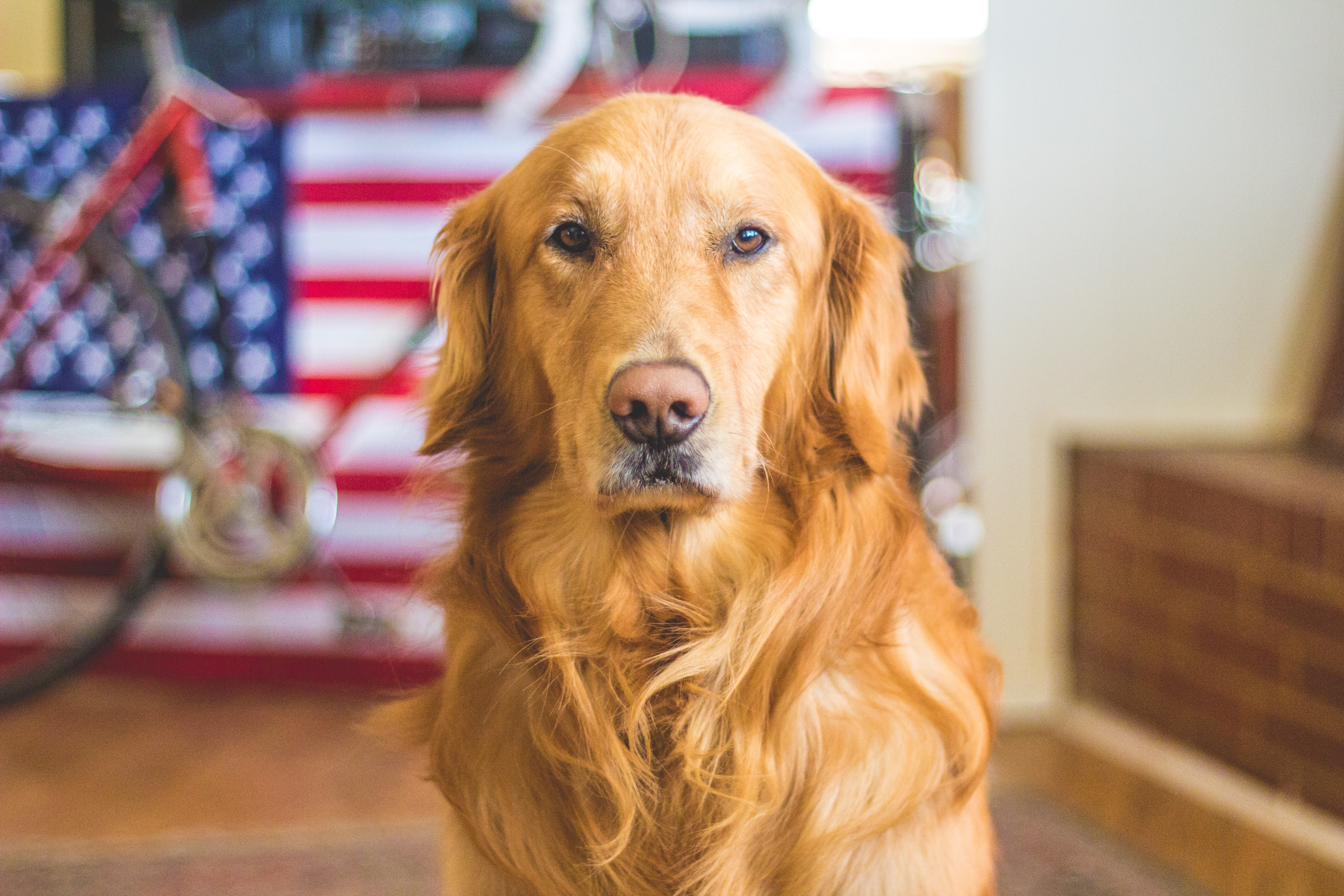 caleb-fisher-pgUbpDLJh3E-unsplash caleb-fisher-pgUbpDLJh3E-unsplash