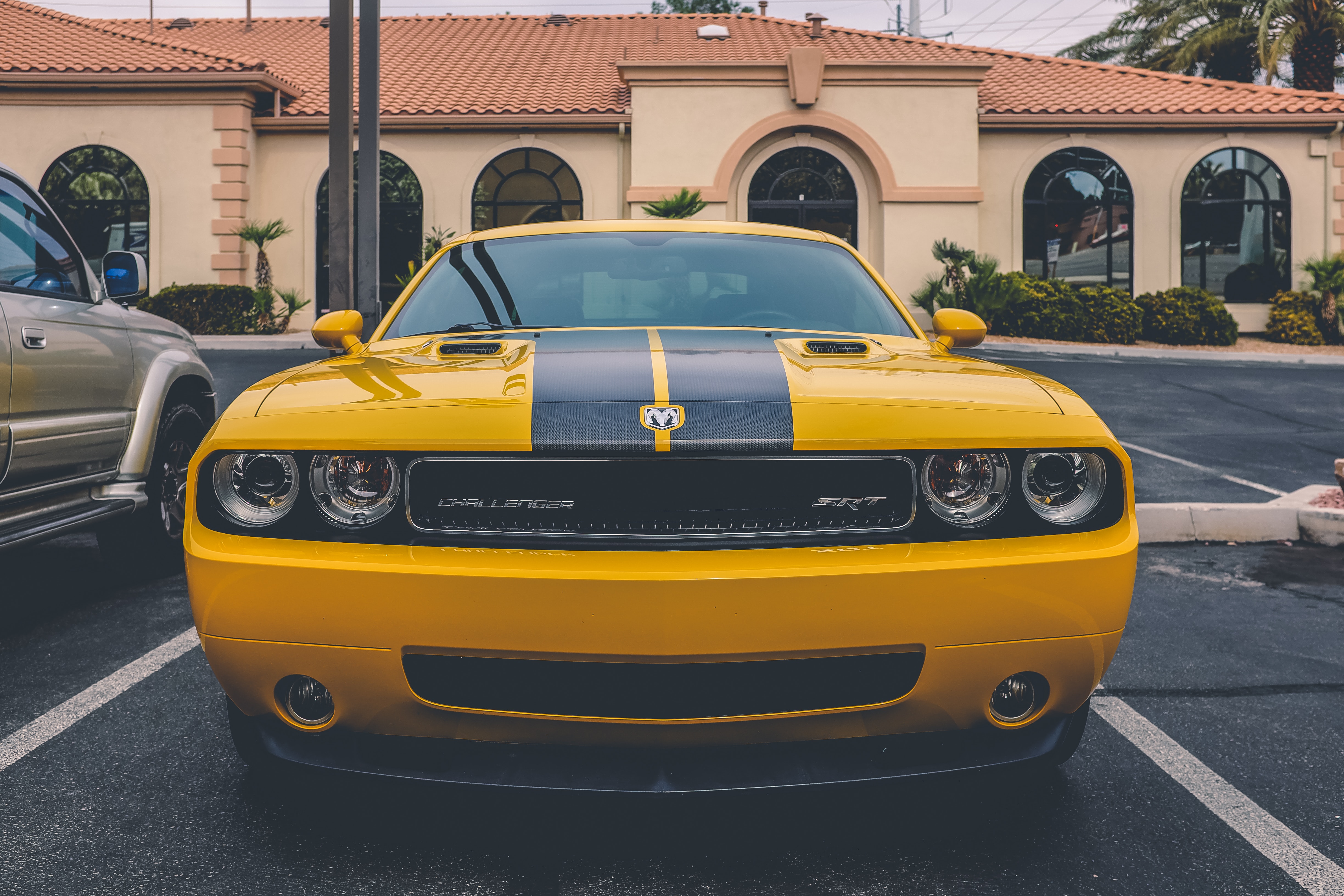 neonbrand-RqiblqIfVdE-unsplash neonbrand-RqiblqIfVdE-unsplash